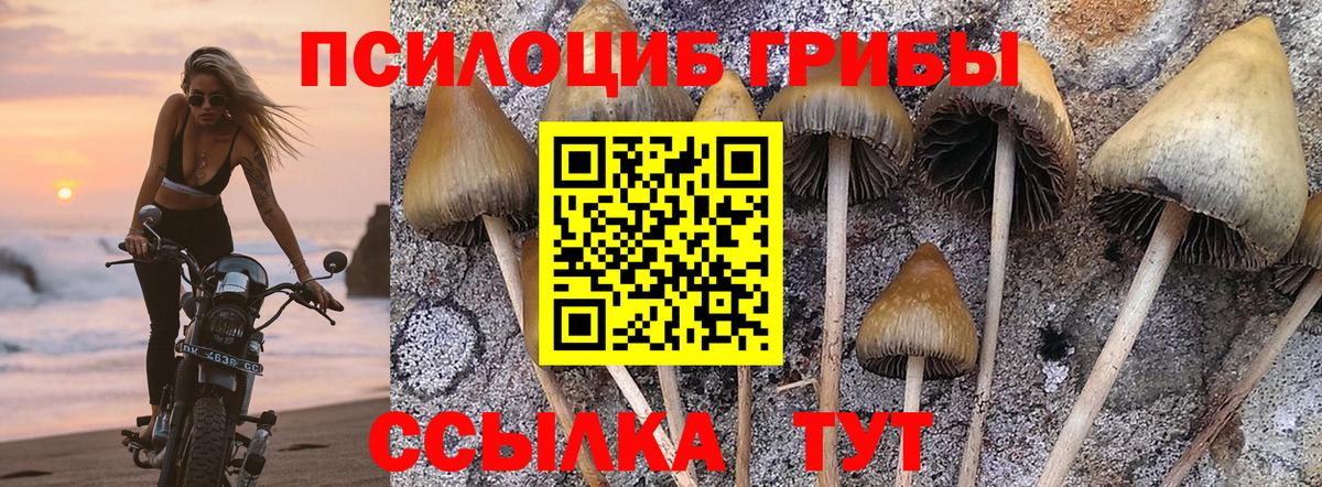 Псилоцибиновые грибы Magic Shrooms Полысаево