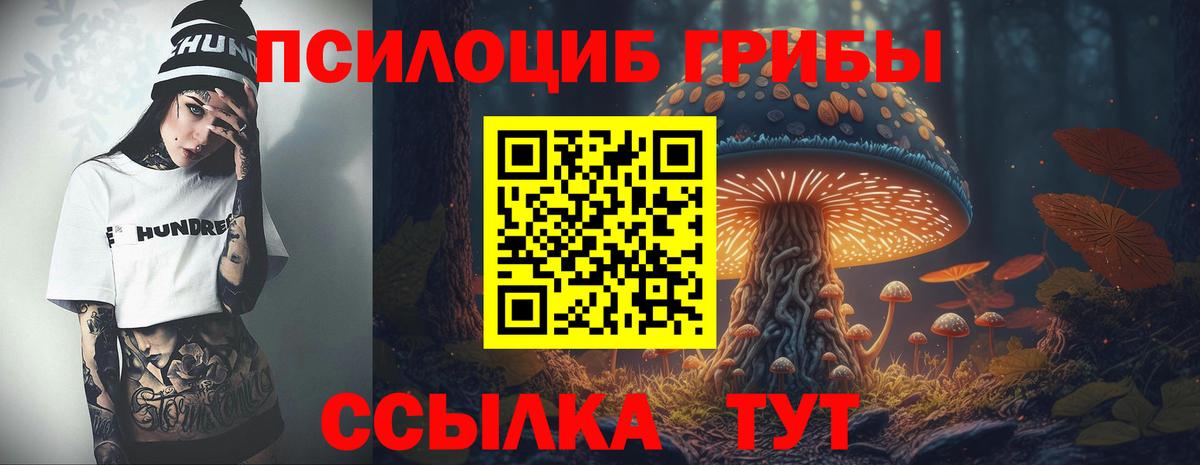 Полысаево  Галлюциногенные грибы мицелий  Псилоцибиновые грибы Cubensis  Вход с VPN 